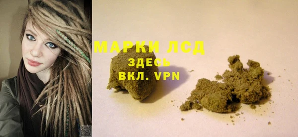 прущие грибы Лихославль