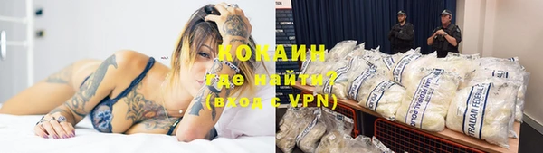 прущие грибы Лихославль