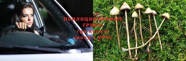 МДПВ Лагань