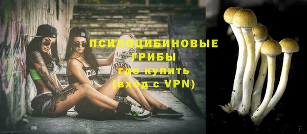 эйфоретик Дубна