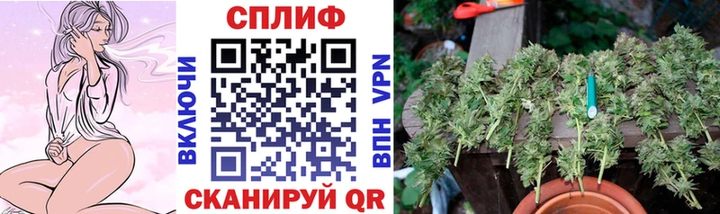 Канабис планчик Петров Вал
